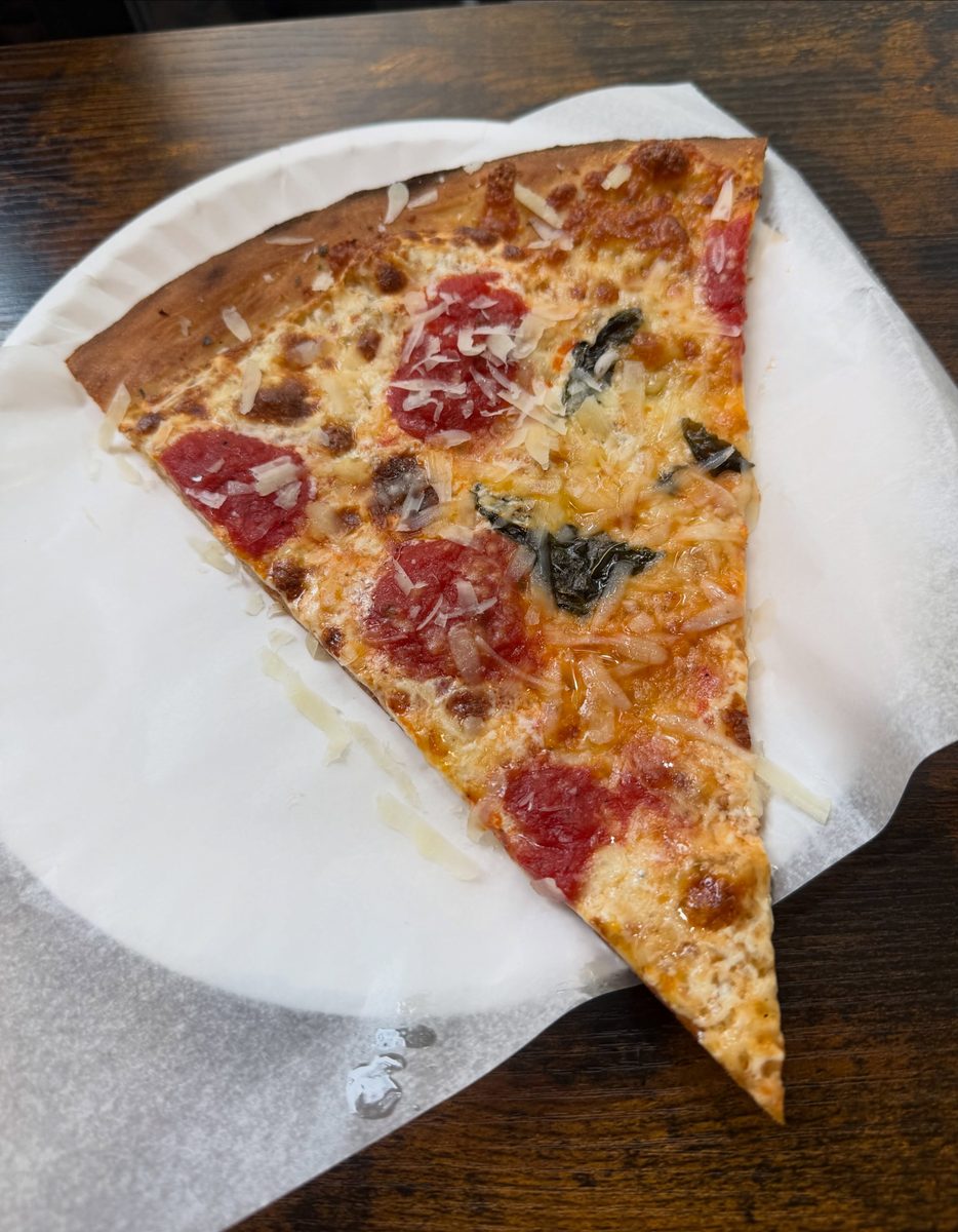 Margherita slice on a paper plate at Aria Nova Pizzeria, shaved parmesan over tomato, basil and browned cheese