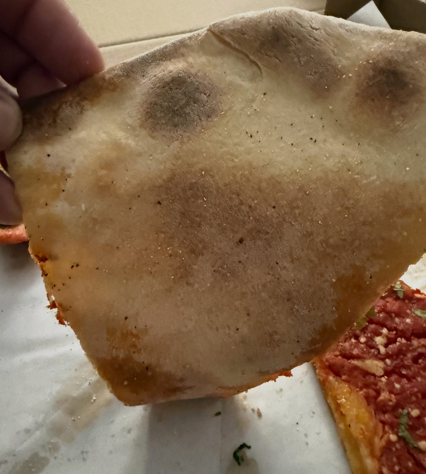 Underside of the pizza crust at DeLucia’s Brick Oven Pizza