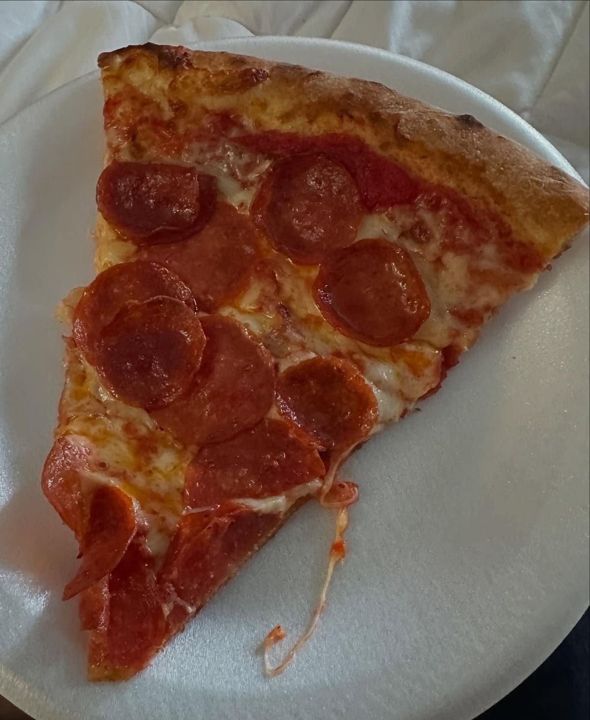 Pizza slice at Flour Child Pizza in Long Beach Island