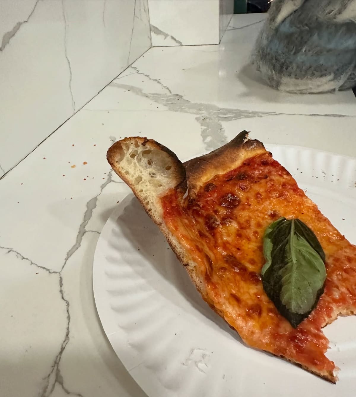Close view of a pizza slice at Lucia Pizza of Avenue X