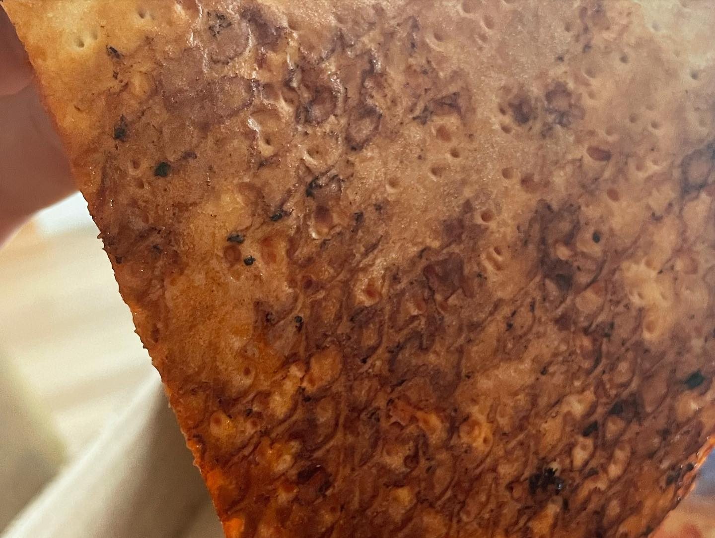 Underside of the pizza crust at Newport Pizza Company