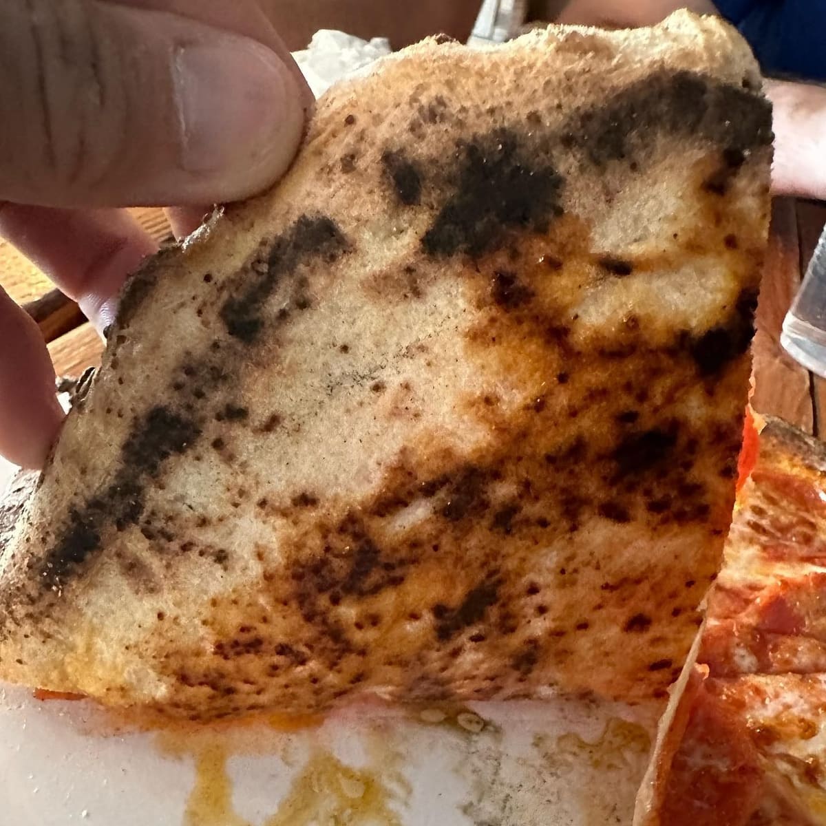 Underside of the pizza crust at Ocelot Pizza