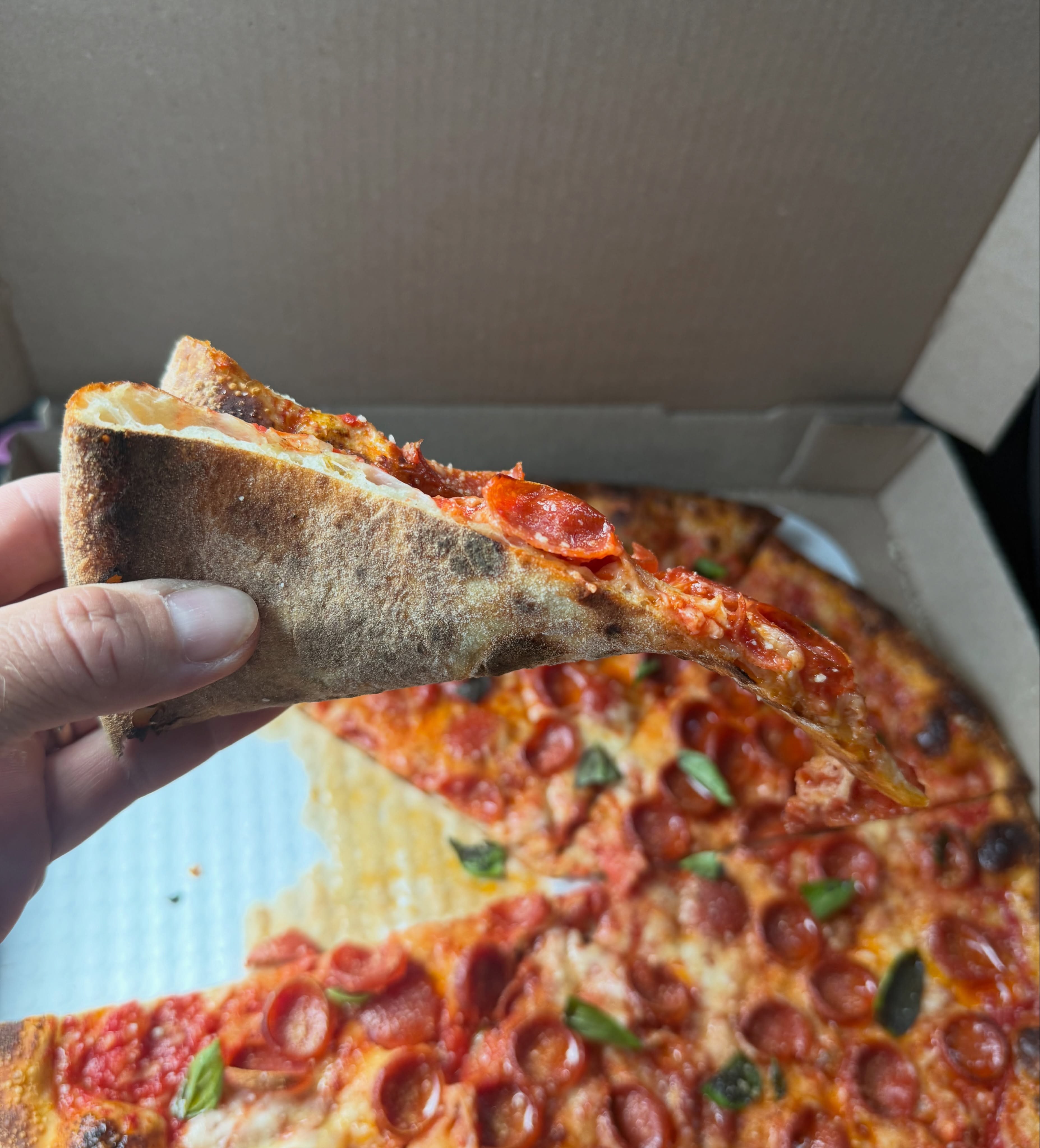 Slice held up showing the crust profile, Red Bird Pizza