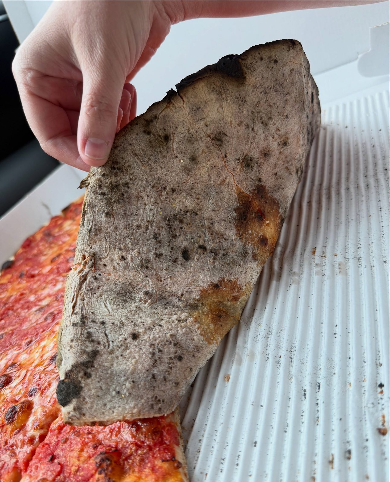 Underside of a slice held up at Sally’s Apizza, pale and dusted with dark coal char spots