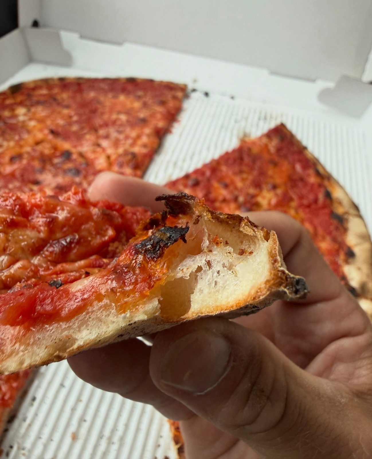 Cut edge of a Sally’s Apizza slice showing open fermentation pockets under a thin layer of sauce and cheese