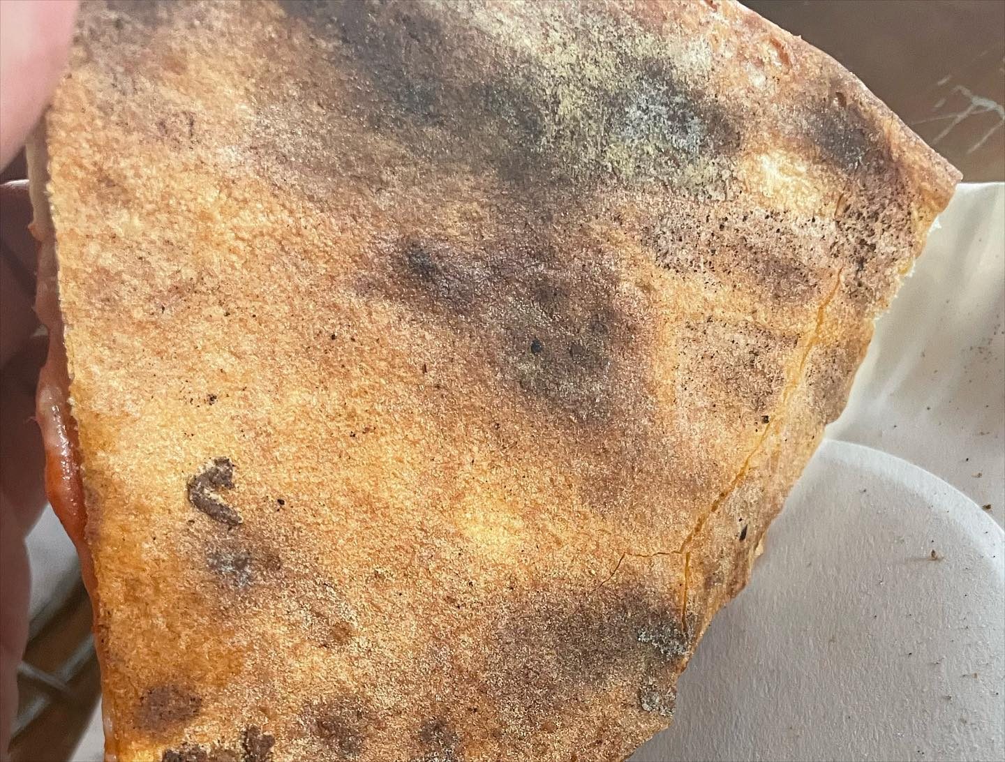 Underside of the pizza crust at Steve’s Pizza